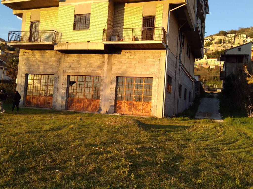 immagine annuncio 1 di 6