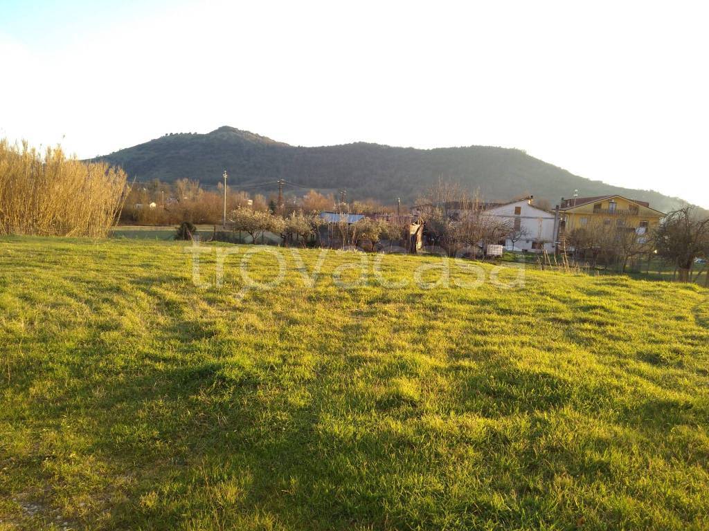 immagine annuncio 5 di 6