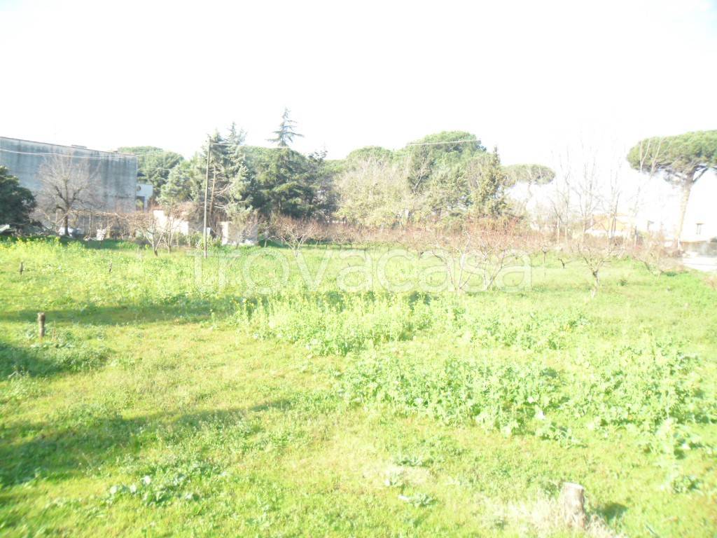 Terreno Agricolo in vendita a Giugliano in Campania via Ripuaria