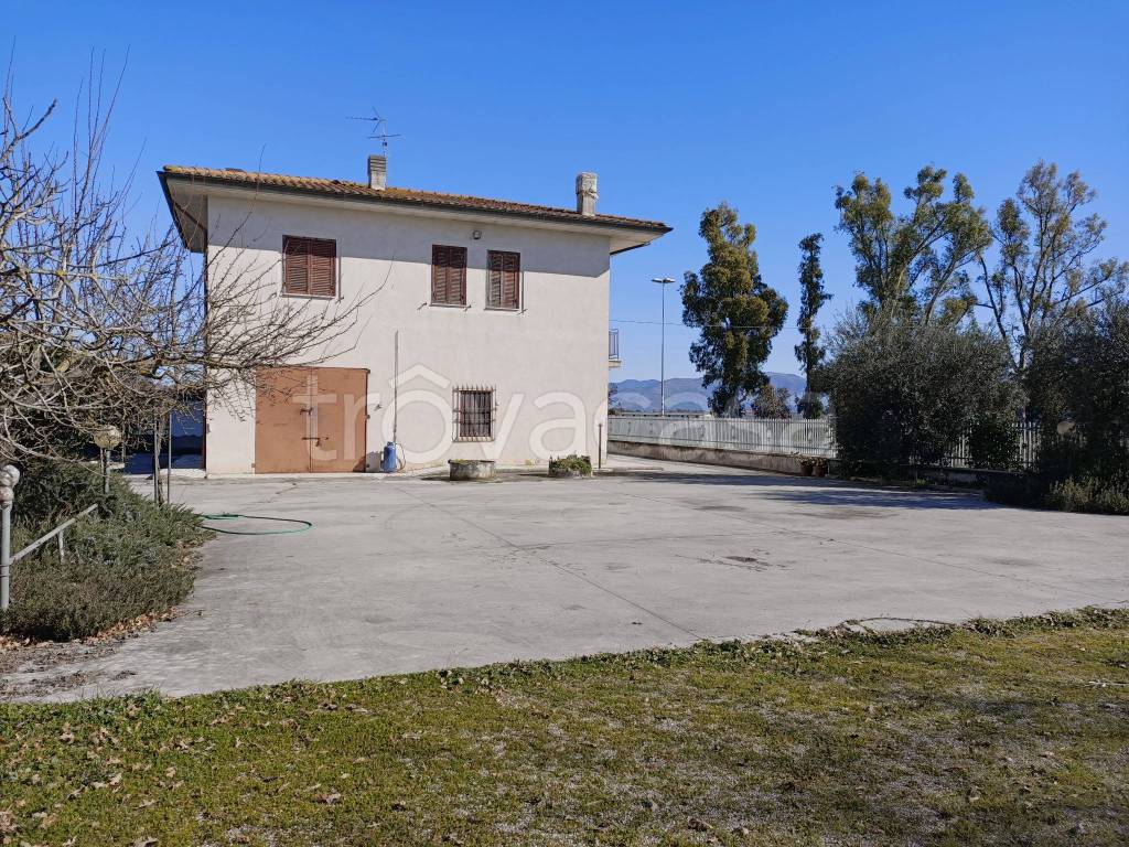 immagine annuncio 2 di 6