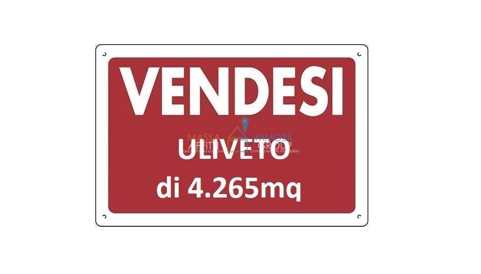 Terreno Agricolo in vendita a Pietrasanta via Andreotti, 2