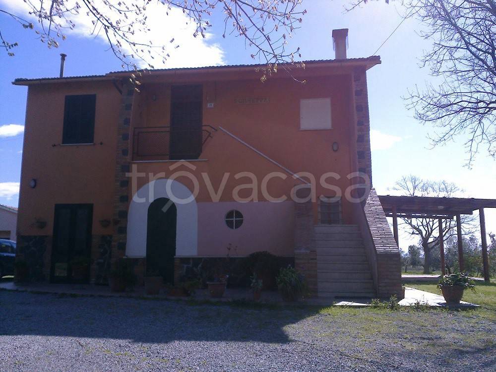 Casale in affitto a Capalbio strada Pescia Fiorentina Chiarone