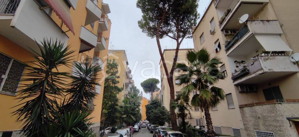 Appartamento in in vendita da privato a Roma viale Tirreno