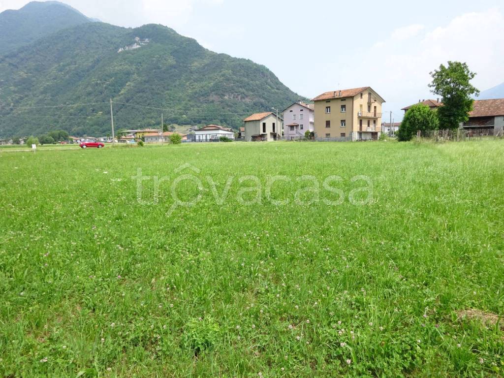 immagine annuncio 2 di 4
