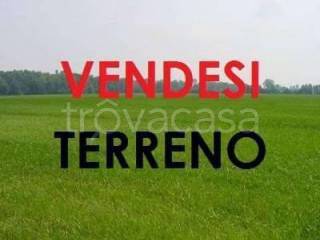 Terreno Agricolo in vendita a Succivo via Trivio del Castagno