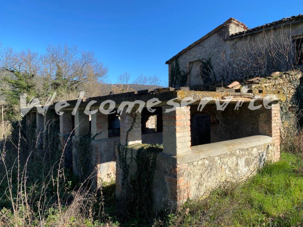 immagine annuncio 4 di 12