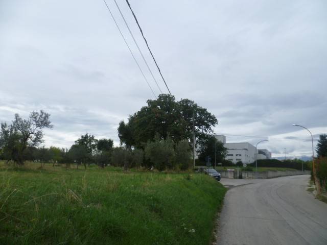 immagine annuncio 5 di 12