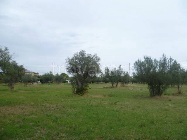 immagine annuncio 10 di 12
