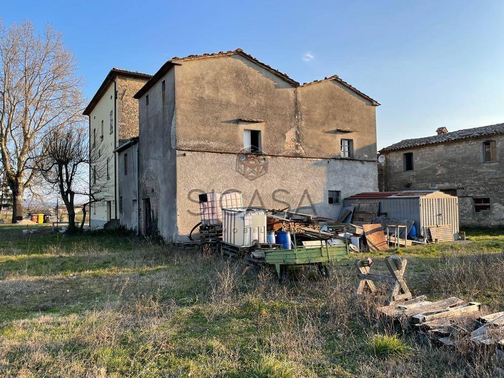 immagine annuncio 2 di 4