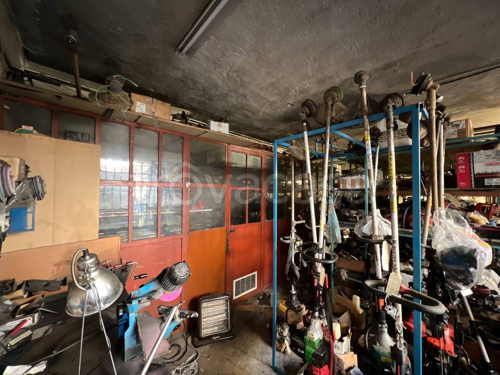 immagine annuncio 11 di 13