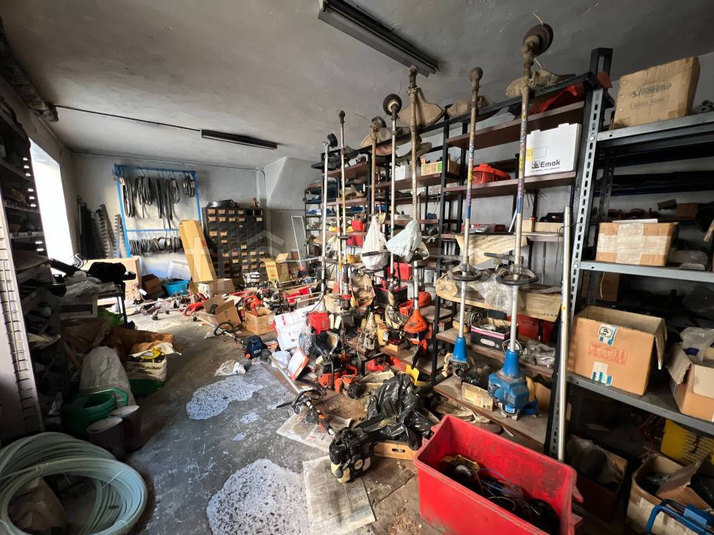 immagine annuncio 12 di 13