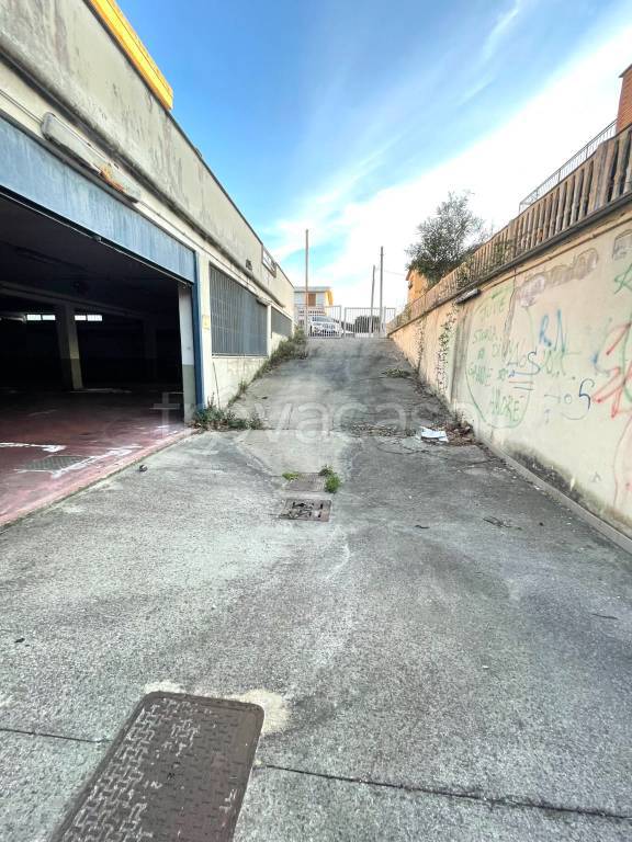 immagine annuncio 5 di 8