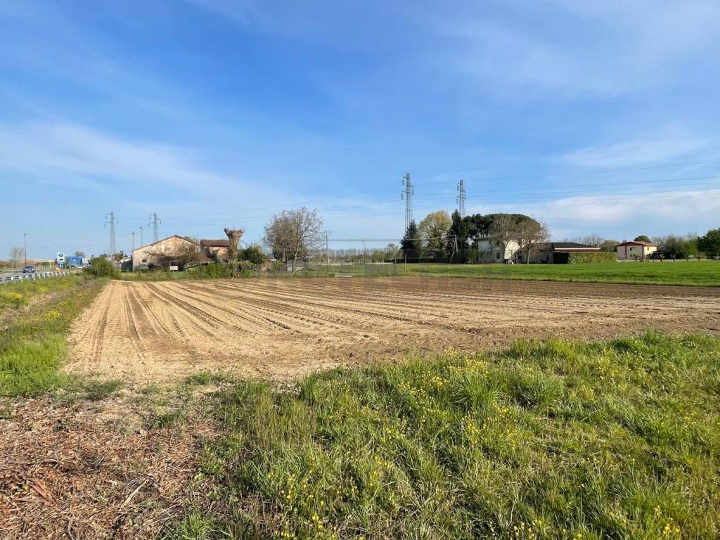 immagine annuncio 5 di 13