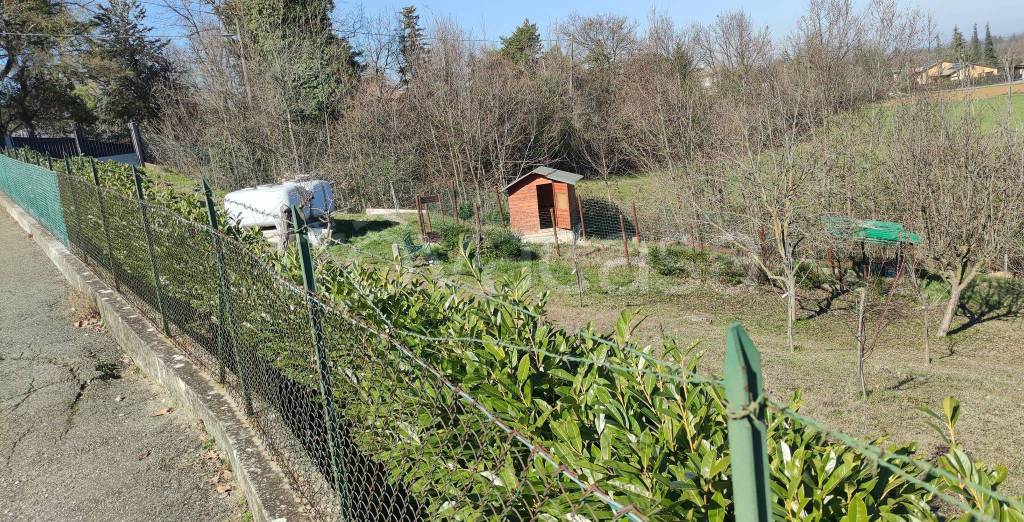 immagine annuncio 2 di 4