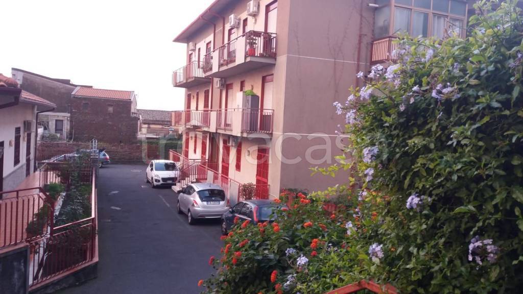 Appartamento in in vendita da privato a Mascalucia via Calvario, 61
