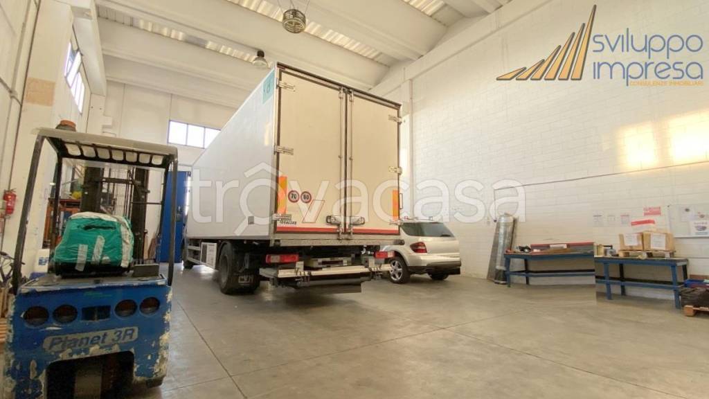 immagine annuncio 6 di 15