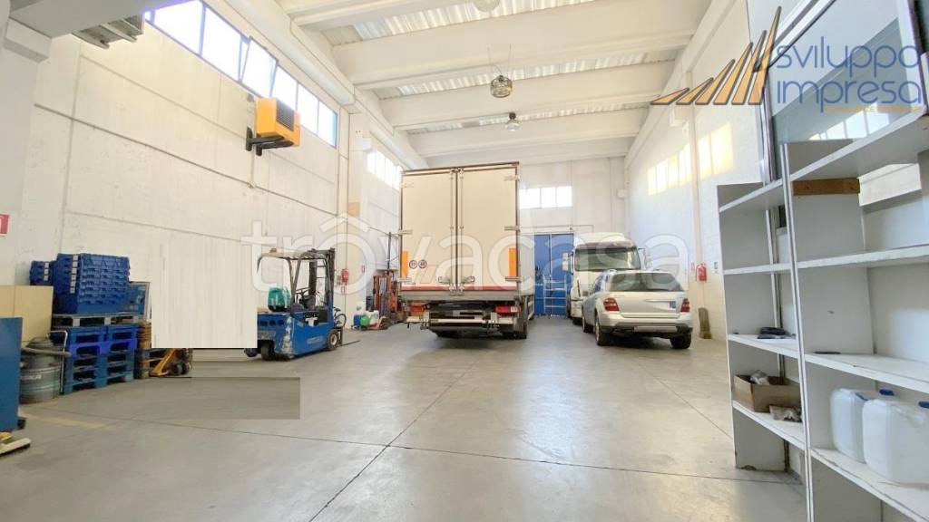 immagine annuncio 8 di 15