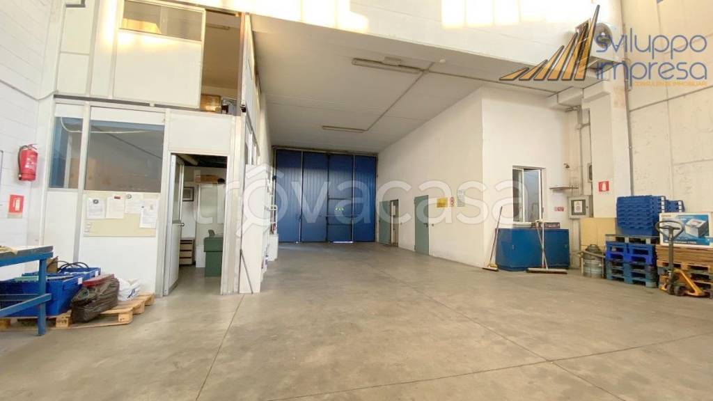 immagine annuncio 9 di 15