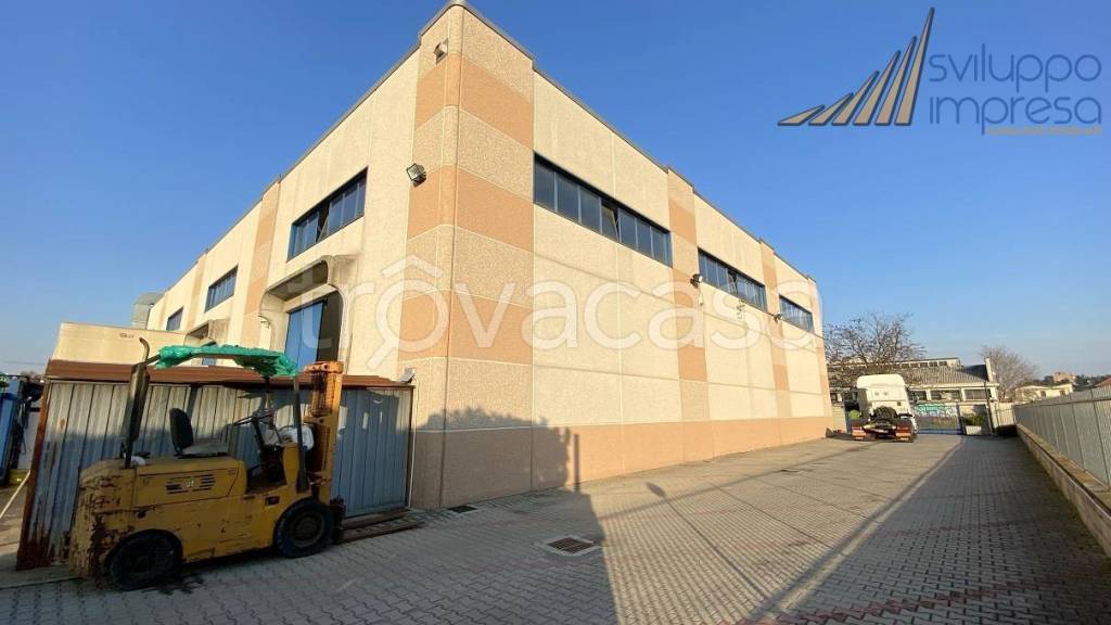 immagine annuncio 12 di 15