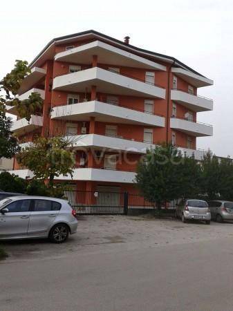Appartamento in in vendita da privato a Vairano Patenora via Ciro Menotti