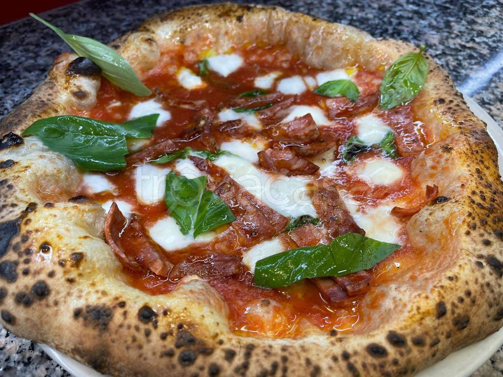 Pizzeria in in vendita da privato a Bologna