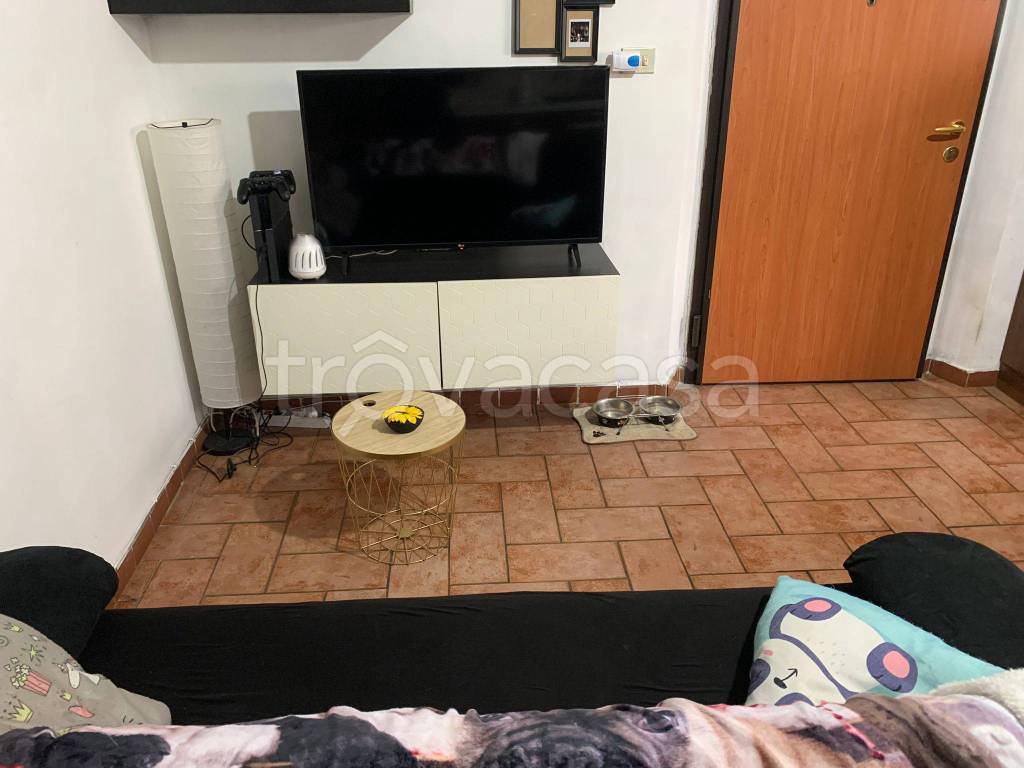 immagine annuncio 4 di 14