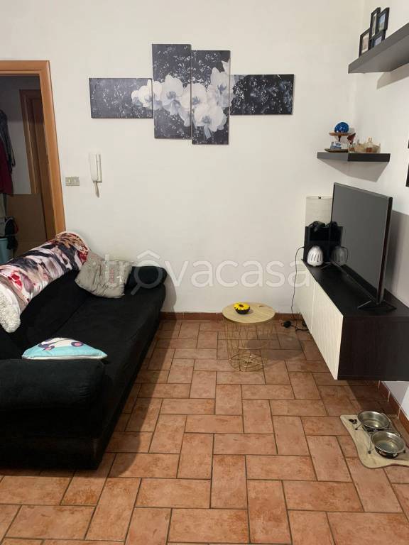 immagine annuncio 3 di 14