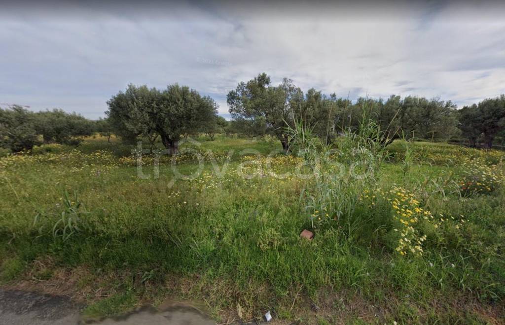 Terreno Agricolo in vendita a Siderno localita' lenzi