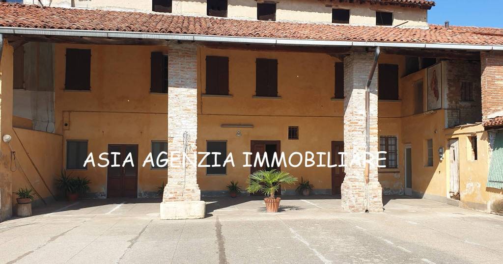 immagine annuncio 3 di 11