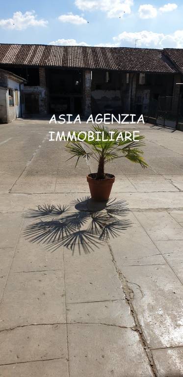 immagine annuncio 6 di 11