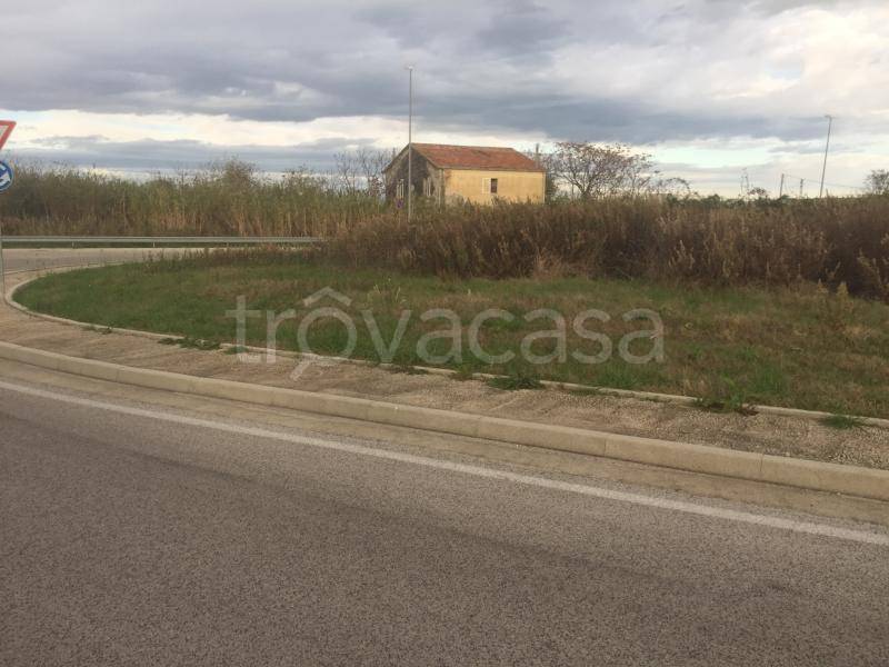 immagine annuncio 6 di 8