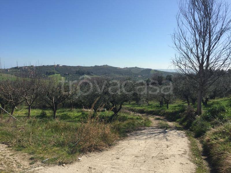 immagine annuncio 4 di 12