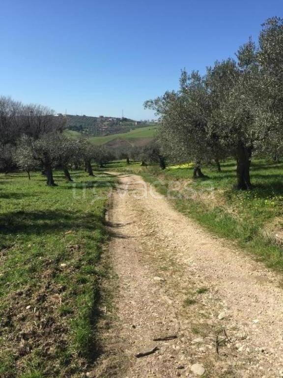 immagine annuncio 5 di 12