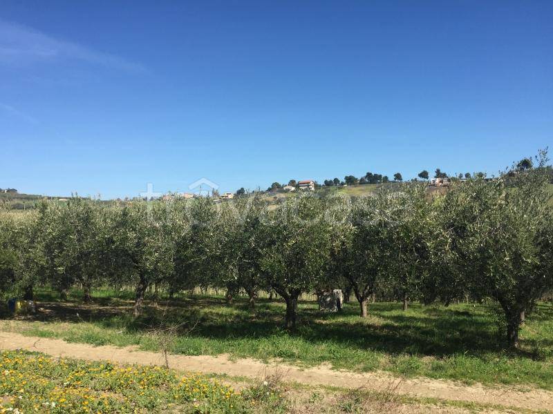 immagine annuncio 9 di 12