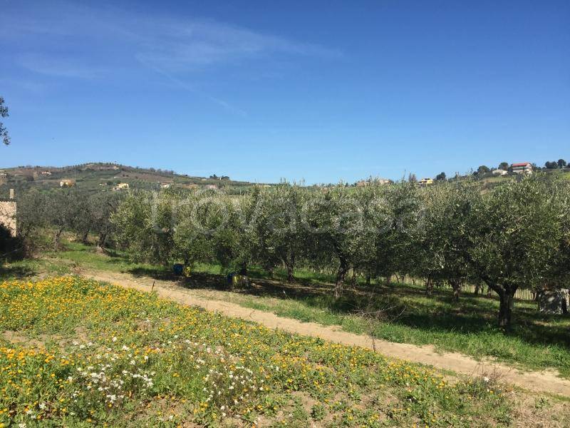 immagine annuncio 10 di 12