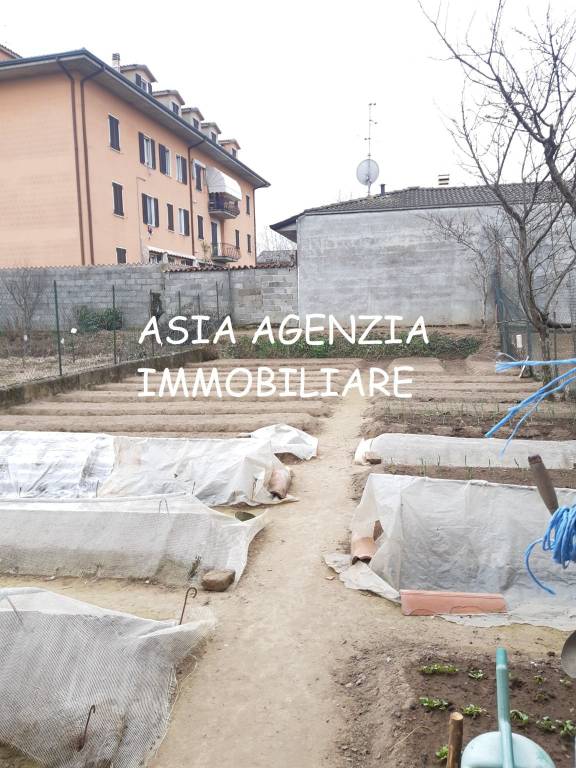 immagine annuncio 10 di 11