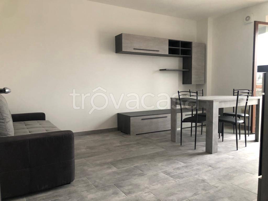 immagine annuncio 1 di 14