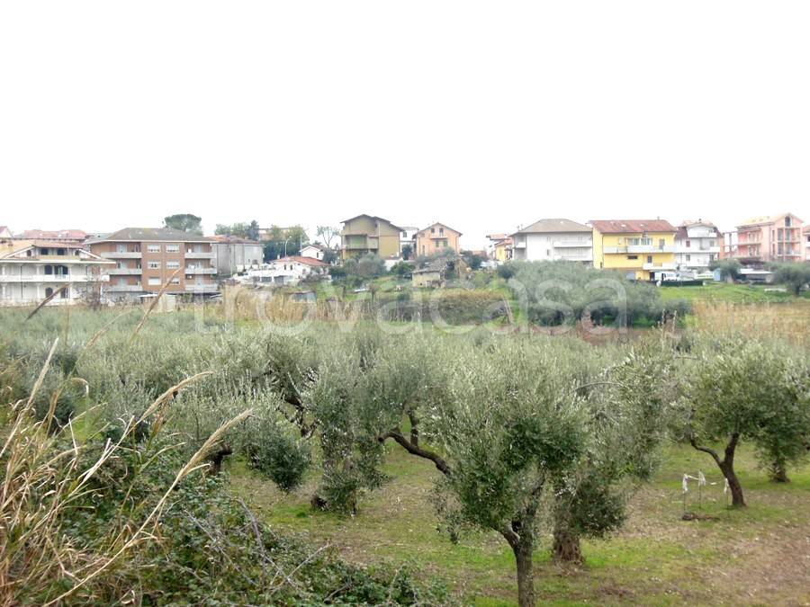 Terreno Agricolo in vendita a Chieti via Pasquale Borrelli
