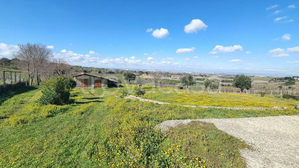 Terreno Agricolo in vendita a Frascati via Colle Pisano