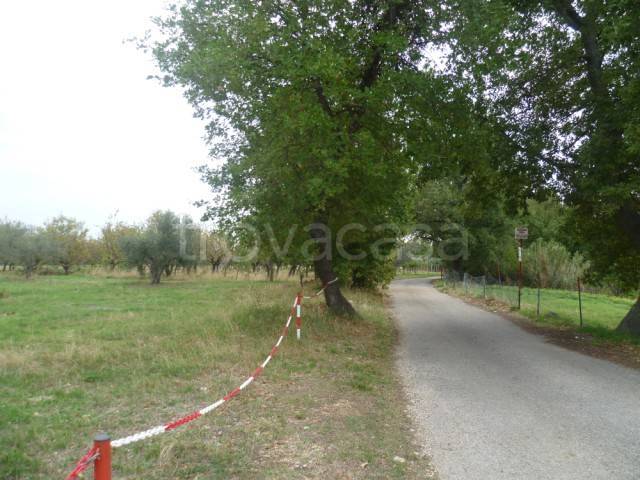 immagine annuncio 11 di 13