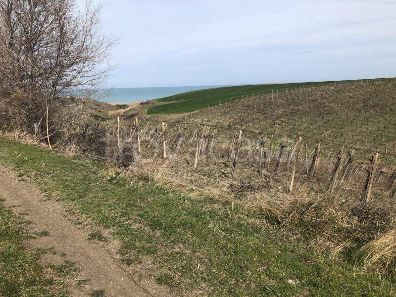 immagine annuncio 8 di 12