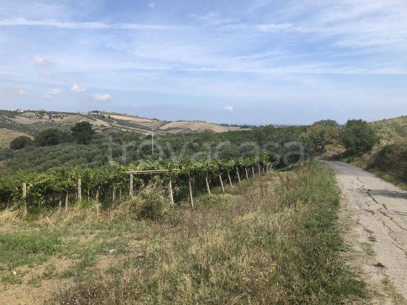 immagine annuncio 6 di 12