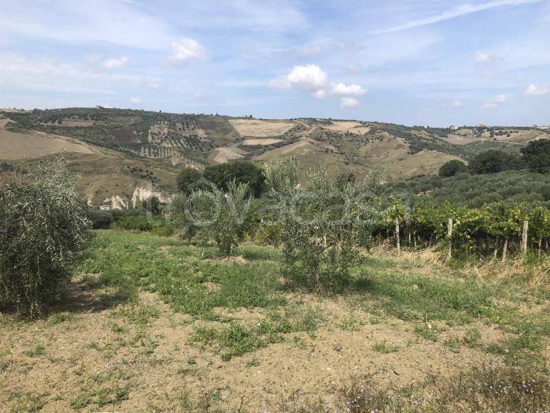 immagine annuncio 7 di 12