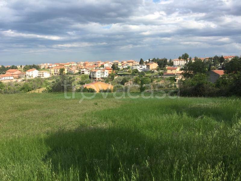 immagine annuncio 10 di 12