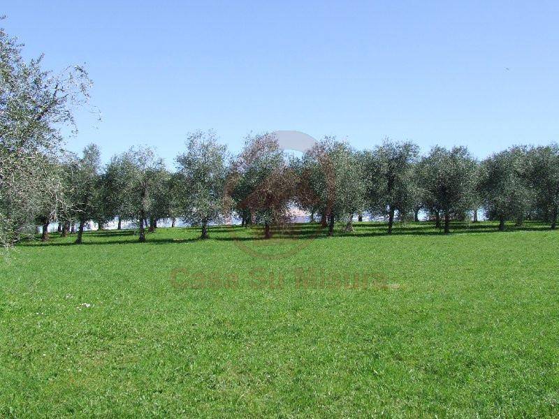 Terreno Residenziale in vendita a Pianiga via Rodari