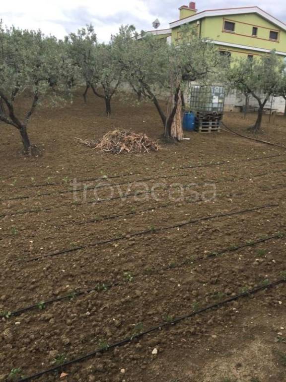 immagine annuncio 4 di 9