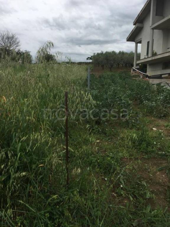 immagine annuncio 5 di 9