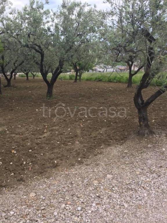 immagine annuncio 6 di 9