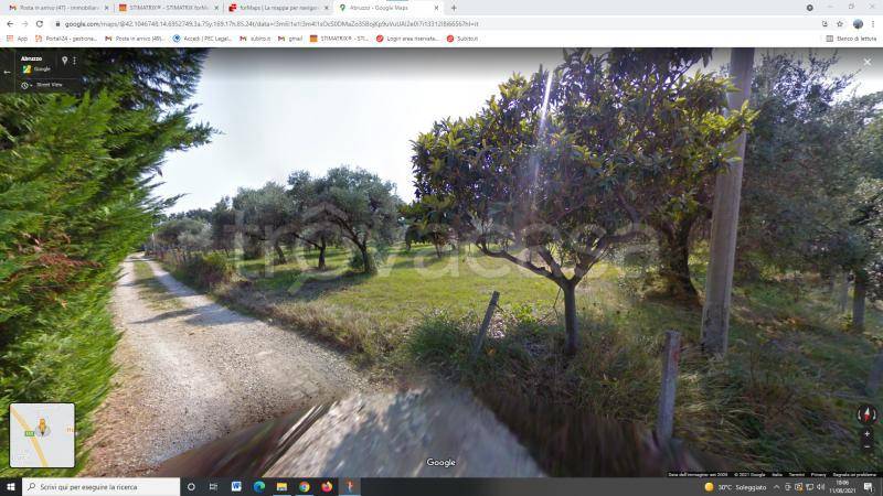 immagine annuncio 3 di 12