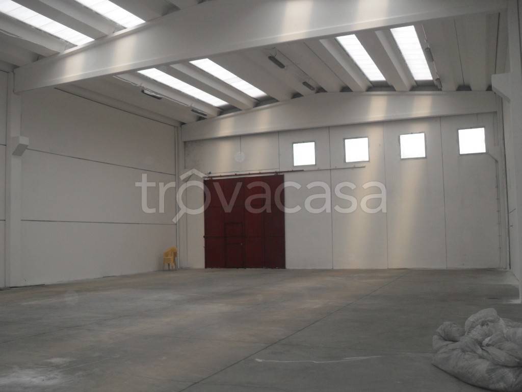 immagine annuncio 5 di 7